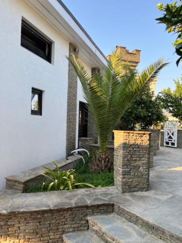a palm tree in front of a house at Berat River House Boutique Hotel in Berat