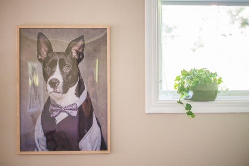 a picture of a dog in a suit and bow tie at Hallonet in Alingsås