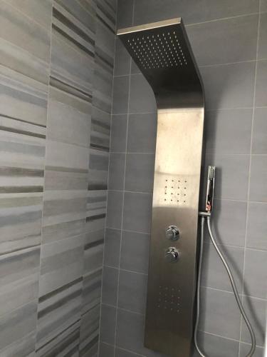 une douche avec pommeau de douche dans une salle de bain dans l'établissement Le Domaine de Saint-Michel Maison de vacances 2 à 8 personnes, à Commequiers