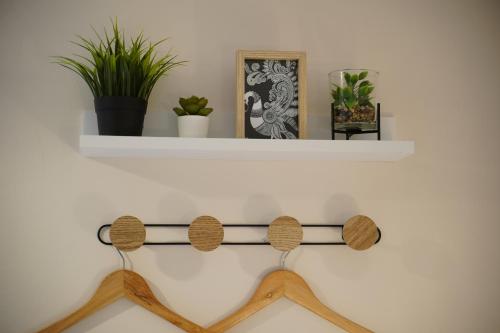 a shelf with cds and plants on a wall at Villa Petite Fleur proche Paris CDG Disney Astérix et Parc des Expos in Villeparisis