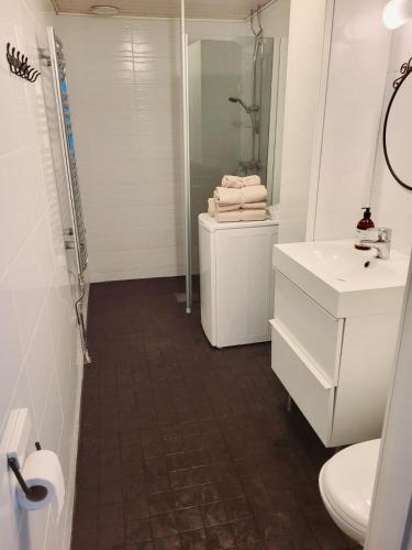 a bathroom with a toilet and a sink and a shower at Tilava uudistettu perheasunto in Rovaniemi