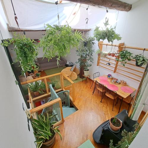 Foto la casa verde nel centro storico 1
