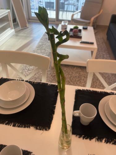 a green plant in a vase on a table at F1 - Daisy Hill 1BR Waters Edge Canal View Yas island - Theme Parks in Abu Dhabi
