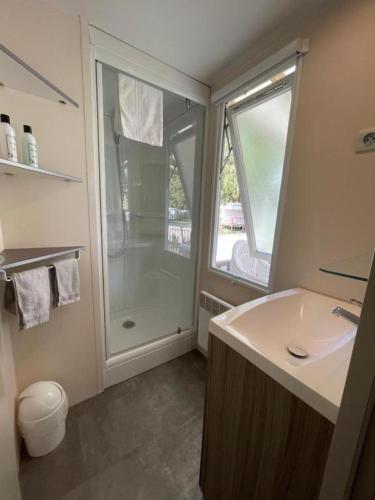 une salle de bain avec douche et lavabo dans l'établissement Mobil home à Boofzheim - EUROPA PARK et RULANTICA, à Boofzheim