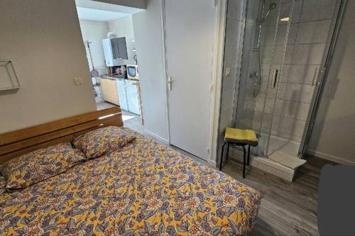 - une chambre avec un lit et une douche dans l'établissement Appartement au cœurs d'Aurillac, à Aurillac