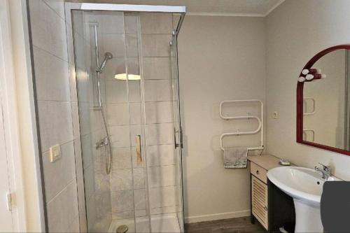 une salle de bain avec douche et lavabo dans l'établissement Appartement au cœurs d'Aurillac, à Aurillac