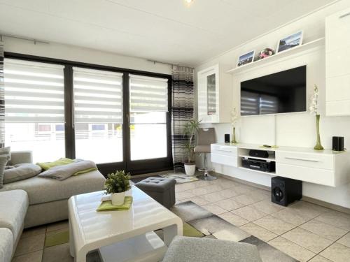 Μια τηλεόραση ή/και κέντρο ψυχαγωγίας στο Ferienhaus Schwan