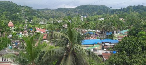 a view of a town with palm trees and houses at Selfie n Studio Homestay in Khānāpāra