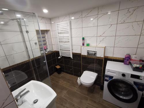 a bathroom with a toilet sink and a washing machine at Gościniec Trzebiel in Trzebiel
