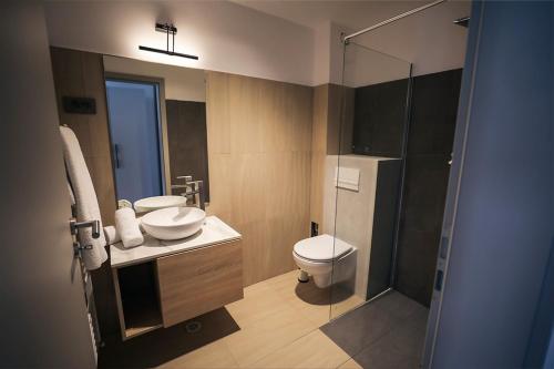 a bathroom with a toilet and a sink and a shower at Pensiunea Berzasca in Berzasca