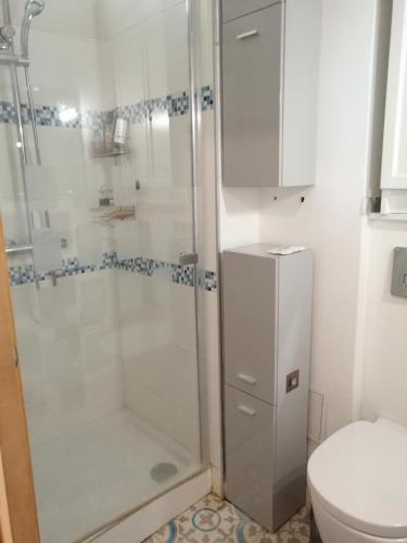 une salle de bain avec douche et toilettes dans l'établissement Studio dans maison de ville, à Toulouse