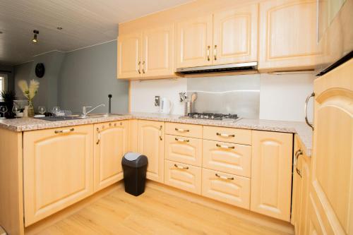 a kitchen with wooden cabinets and a sink at City Breeze in Ostend