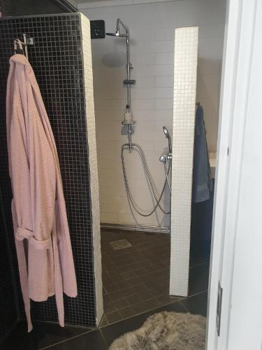 a shower stall in a bathroom with a pink towel at Kiruna Mountain Lodge in Kiruna