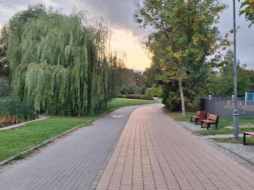 Κήπος έξω από το Apartament Chełmża