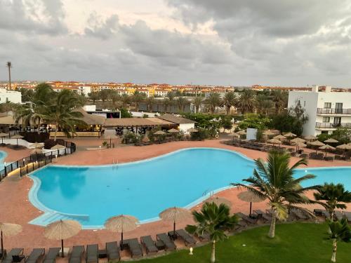 Πισίνα στο ή κοντά στο T1 Resort & Spa Apartamento Ilha do Sal Santa Maria