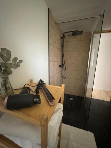 a bathroom with a shower with a gun on a table at Plaisirs Normands in Saint-Julien-de-Mailloc