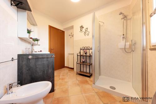 a bathroom with a shower and a sink and a toilet at Il Gatto e La Volpe in Terricciola