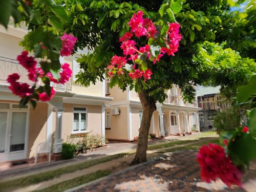 2 bedroom apartment in Bain Boeuf