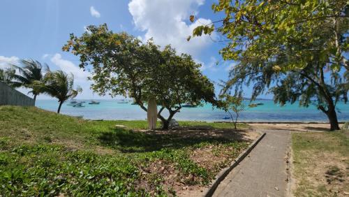 a walkway to the beach with trees and the ocean at 2 bedroom apartment in Bain Boeuf in Cap Malheureux