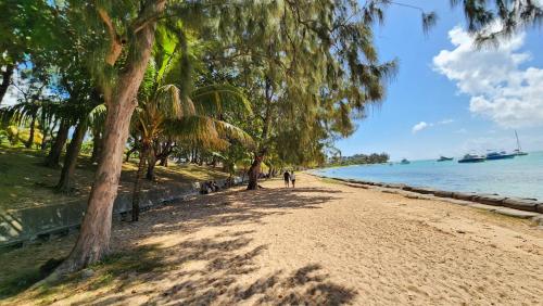 a beach with palm trees and a boat in the water at 2 bedroom apartment in Bain Boeuf in Cap Malheureux