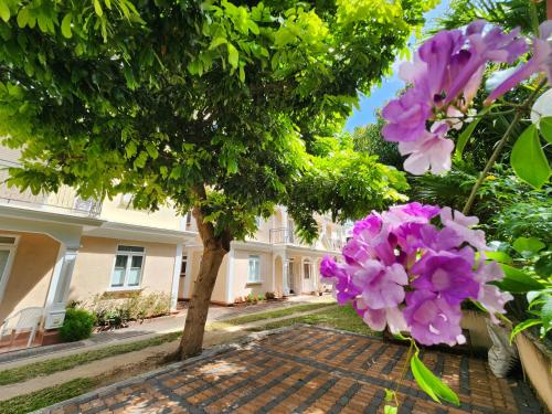 a tree with purple flowers in front of a house at 2 bedroom apartment in Bain Boeuf in Cap Malheureux