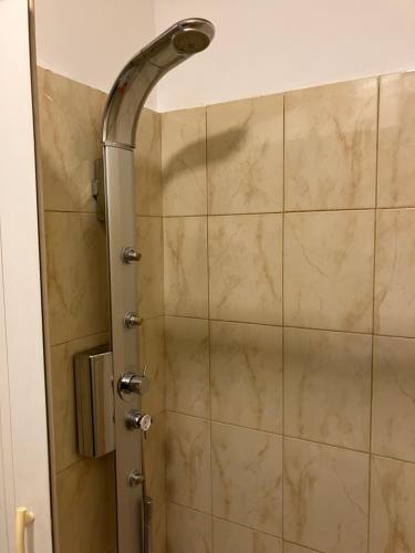 a shower with a glass door in a bathroom at Apartman Nono in Dubrovnik