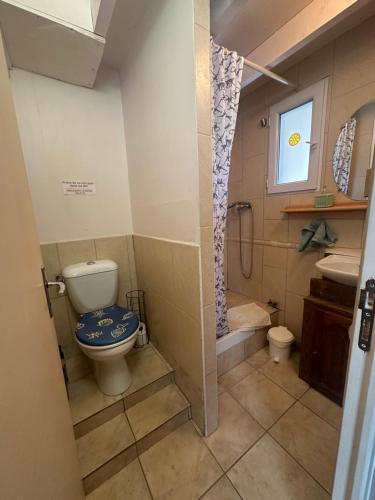 une salle de bain avec toilettes, douche et lavabo dans l'établissement Gîte des cerisiers, à Brue-Auriac