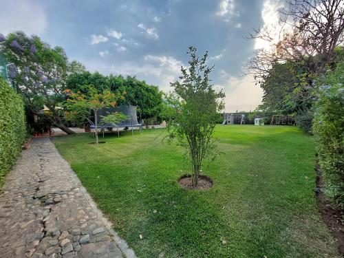 a small tree in the middle of a yard at Casa Quinta Mar, Casa de campo en el Tule, Oaxaca. in Santa María del Tule