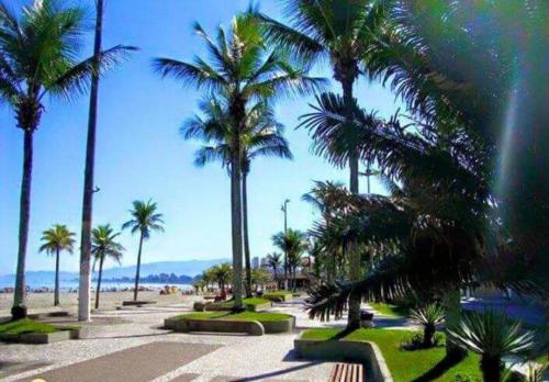 une rangée de palmiers dans un parc à côté de la plage dans l'établissement Praia Grande canto do forte, à Praia Grande