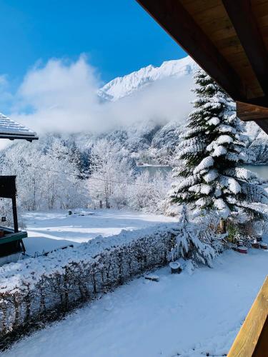 a snow covered yard with a tree and a mountain at Haus Huberta in Achenkirch