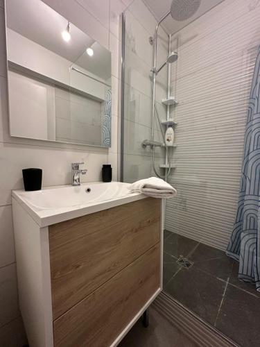 une salle de bain avec un lavabo et une douche dans l'établissement l'élégant centrale, à Saint-Étienne