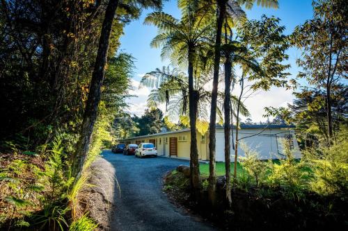 a house with palm trees on the side of a road at Sapphire Springs Holiday Park and Thermal Pools in Katikati
