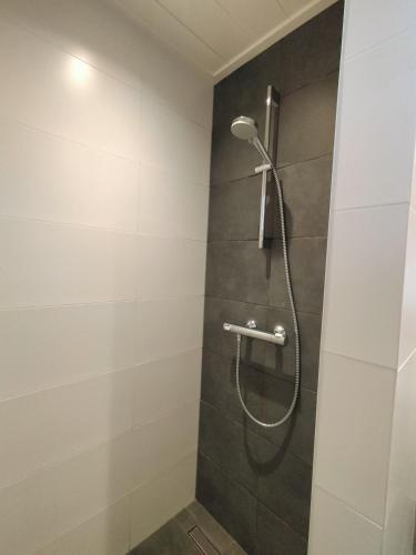 a shower with a shower head in a bathroom at De Heide in Wijnjewoude