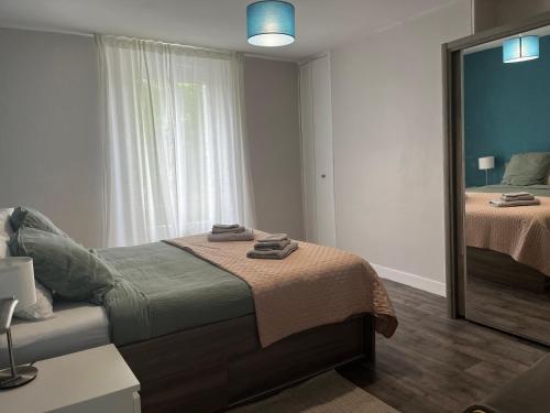 a bedroom with a bed and a large mirror at La Maison d Elodie in Vierzon