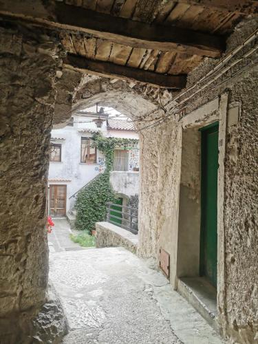 an alley in a stone building with a green door at B&B Zì Camillo in Sicignano degli Alburni