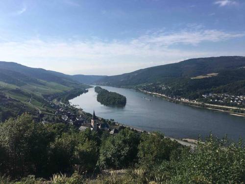 a view of a river with trees and a city at House Four Castles View - A whole House for you!! in Lorch am Rhein