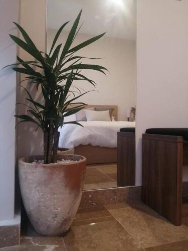 a plant in a large pot in a bedroom at Departamento acogedor con vista al mar y alberca in Conchal