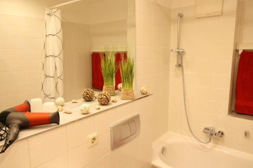 a bathroom with a bath tub and a mirror at Ferienapartments am Brocken in Schierke