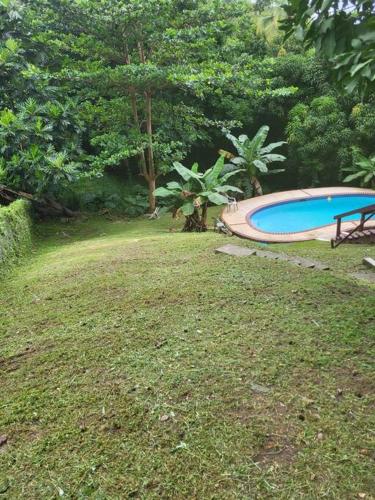 a large yard with a swimming pool and trees at Pal Campo in Hucares