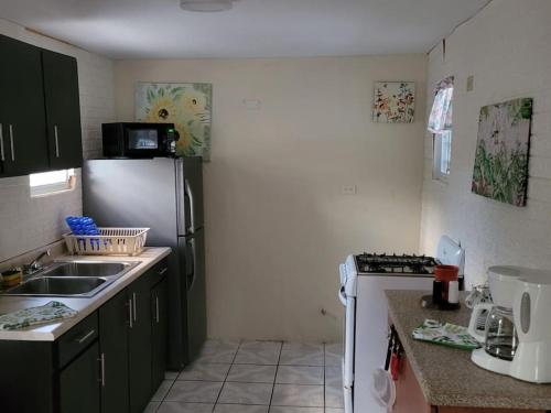 a kitchen with green cabinets and a white refrigerator at Pal Campo in Hucares