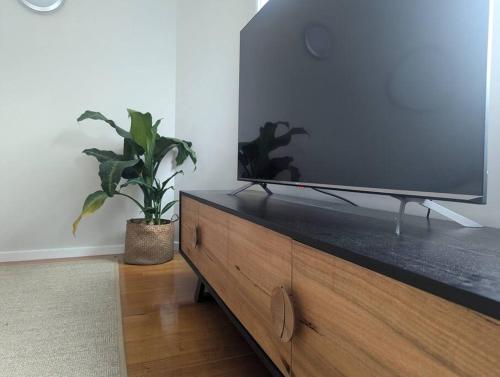 a tv sitting on top of a dresser with a plant at Spacious, Central 2bed 2bath, newly renovated gem! in Albury