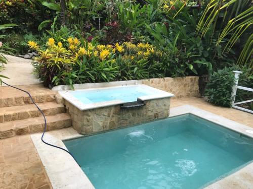a swimming pool in a garden with a bathtub at FLOR DE PARAISO BUNGALOWS in Montezuma