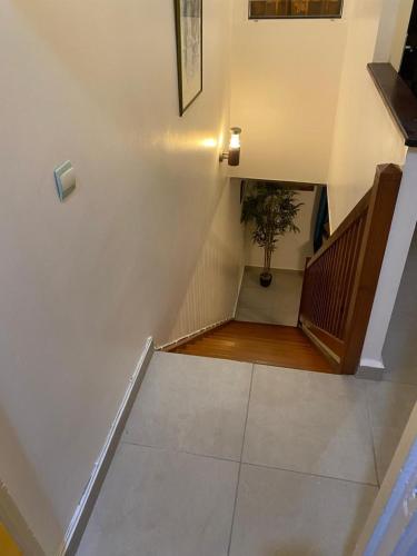 a stairway with a stair case and a potted plant at Appartement Canelle in Baimbridge