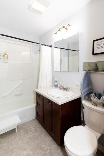 a bathroom with a sink and a toilet and a tub at Bluebirds Road to Happiness in Vermilion