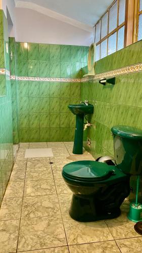 a green bathroom with a toilet and a sink at Templo de la Luna in Cusco