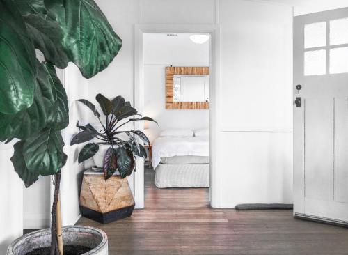 a room with a plant and a bedroom with a bed at The Pines- Eco Beach House in Mylestom