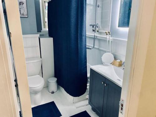 a bathroom with a toilet and a blue shower curtain at Historic Downtown 3bdr with Pool Table in Louisville