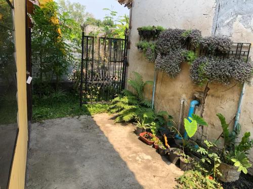 Κήπος έξω από το Cheap rooms in Chiang Mai ห้องพักรายวันราคาถูกเชียงใหม่