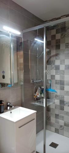 La salle de bains est pourvue d'une douche, d'un lavabo et d'une porte en verre. dans l'établissement Cabourg, à Cabourg