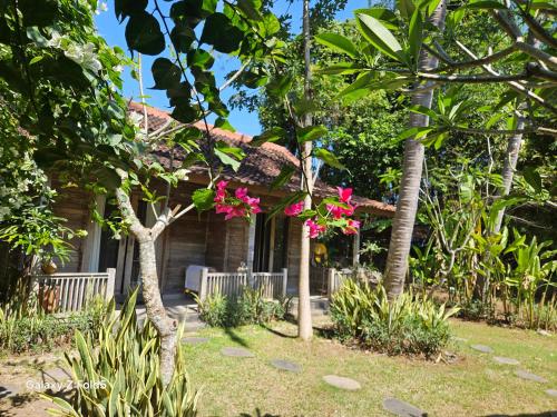 Gallery image of ELEVEN PENIDA HOSTEL SPORTS bar in Toyapakeh